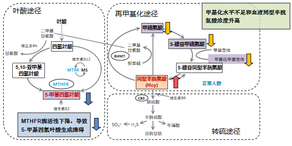 微信图片_20231031152829.png