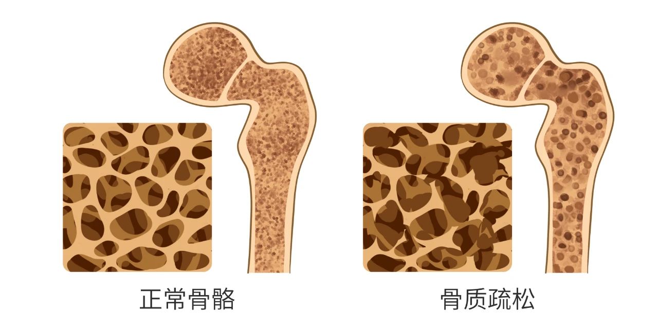 微信图片_20241030160902.jpg